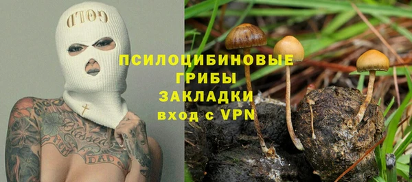 СК Белокуриха