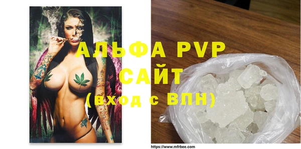 СК Белокуриха